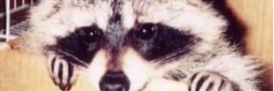 push_WH_Gu's profile banner image