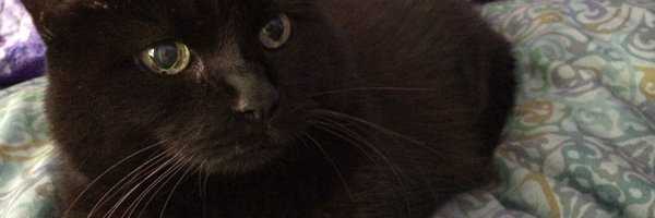 omgjulia Profile Banner