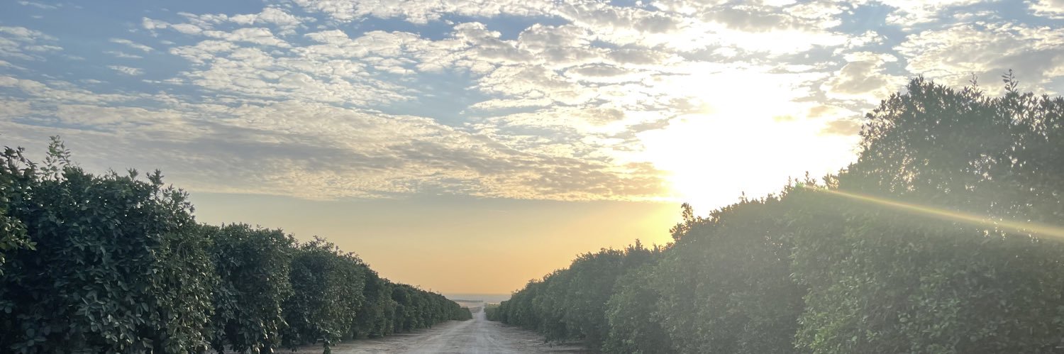 distortedpickle's profile banner image