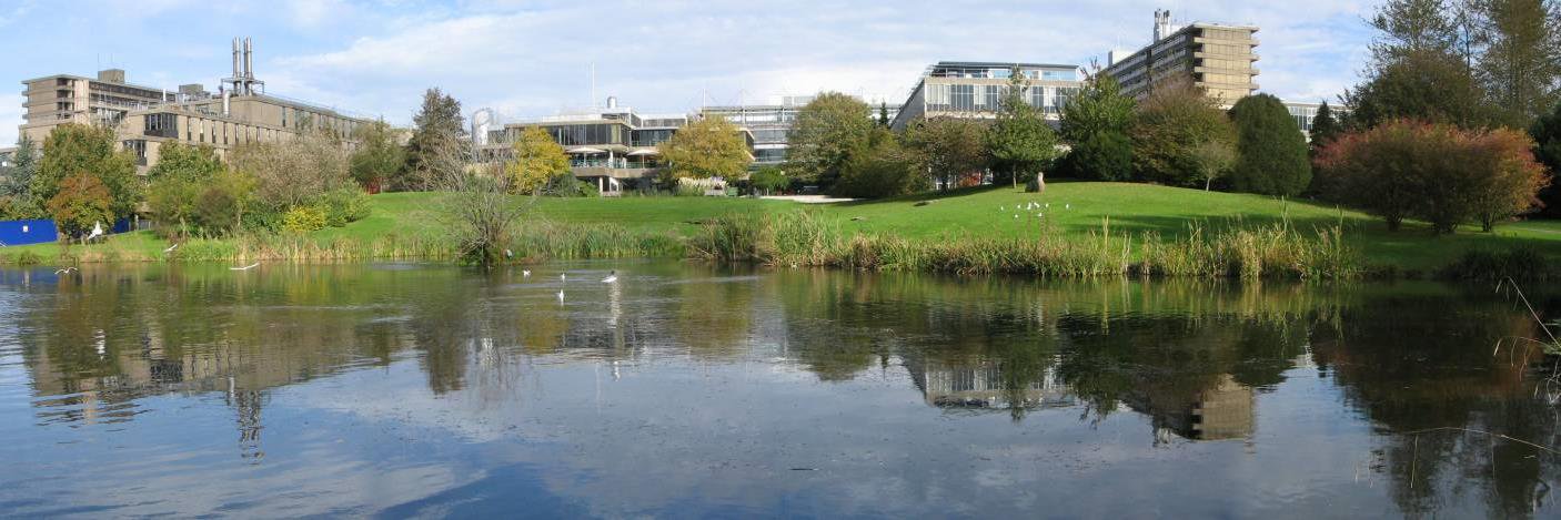 CASE: Uni Bath UK banner