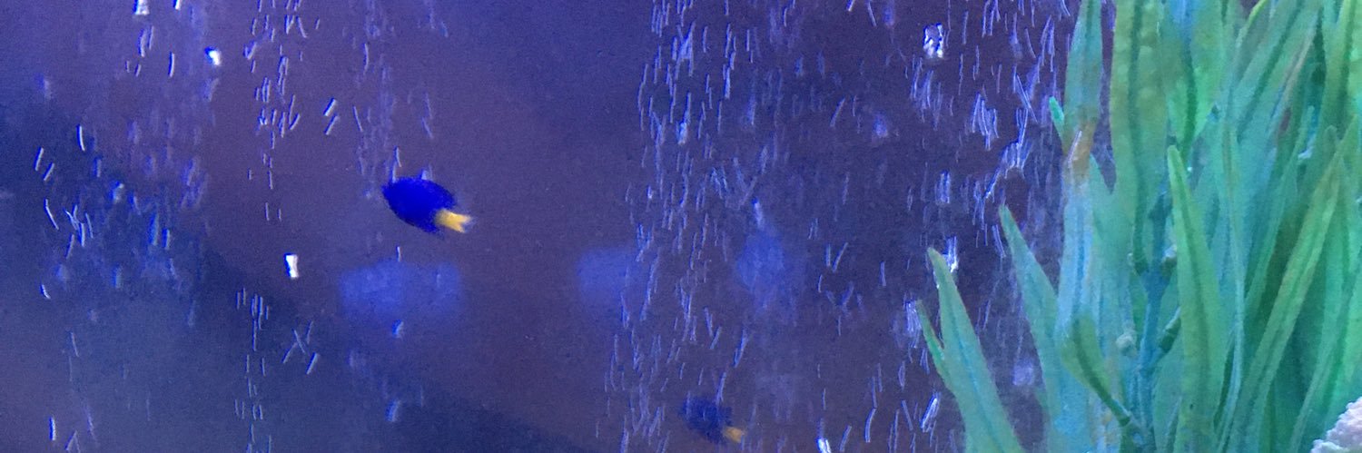 ZqmBo's profile banner image