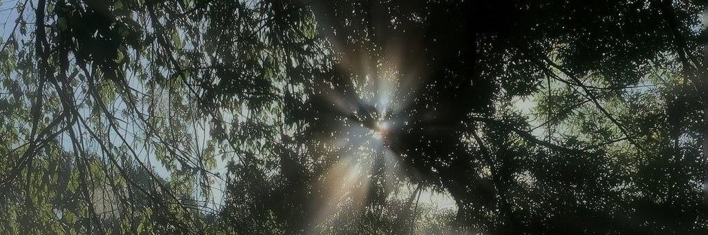 otabeeer's profile banner image