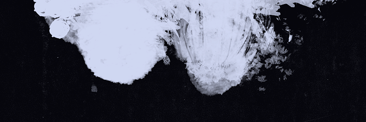 somedaydream's banner