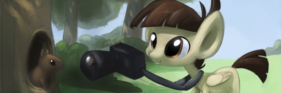 mlp_FeatherW's profile banner image