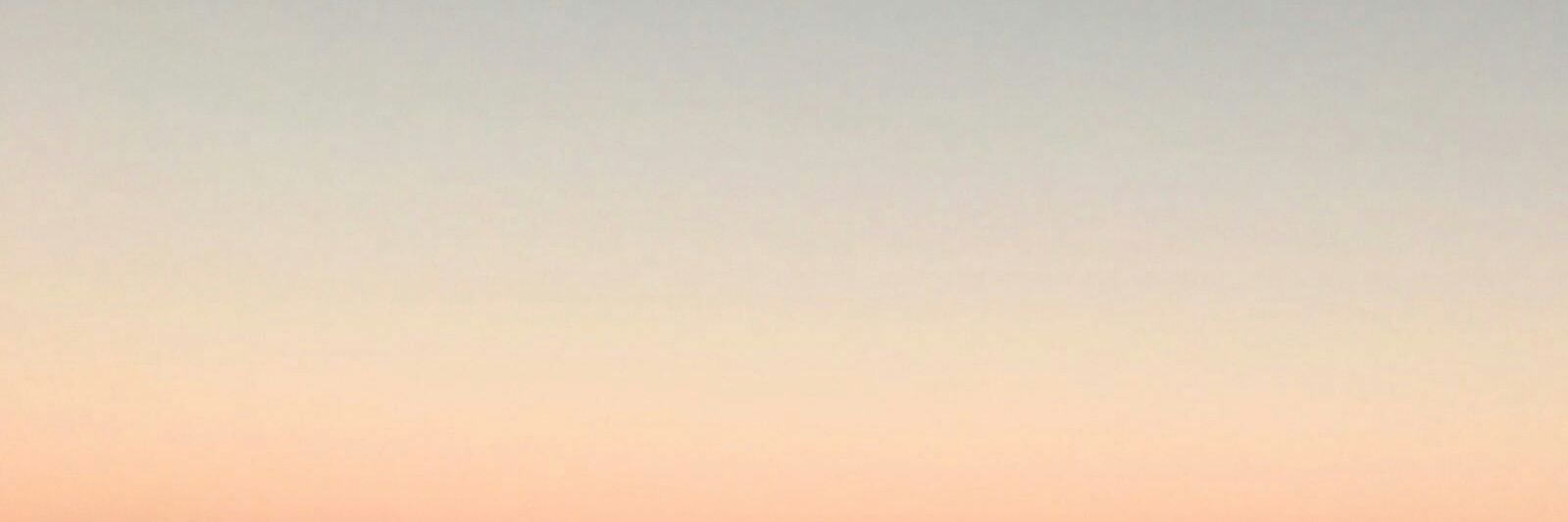taeddykook's profile banner image