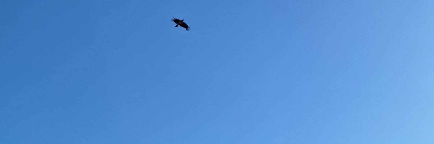 Monstro Querido banner