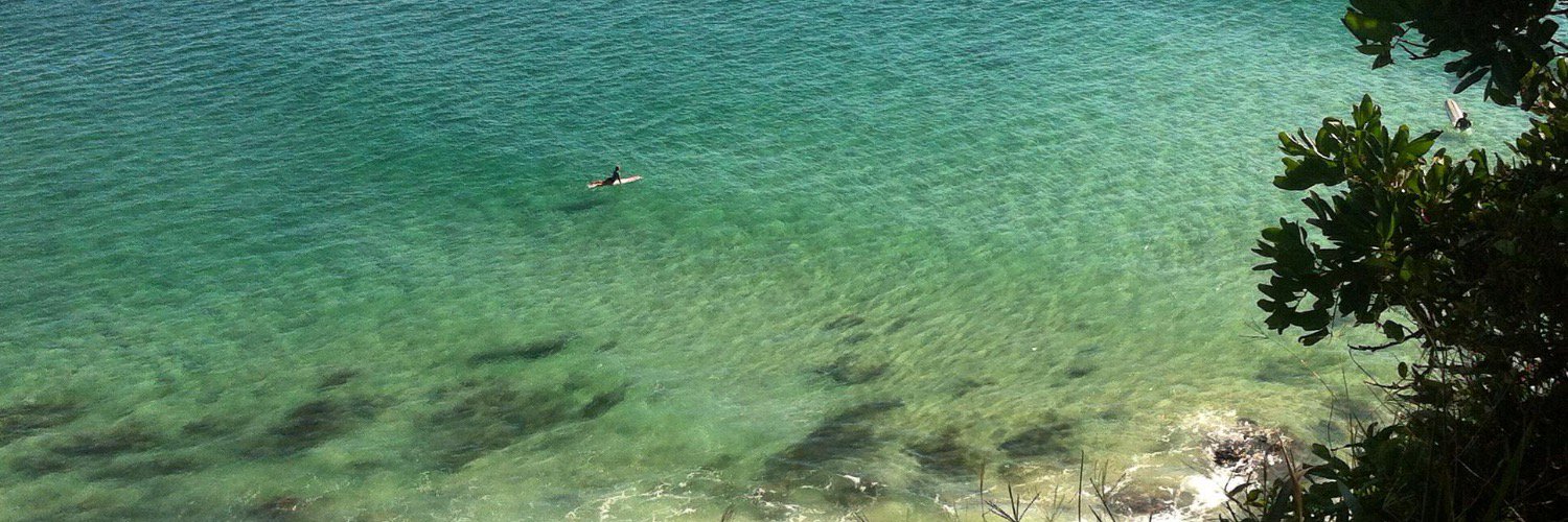 Lillian Macfarlane banner