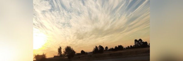Busi_N Profile Banner