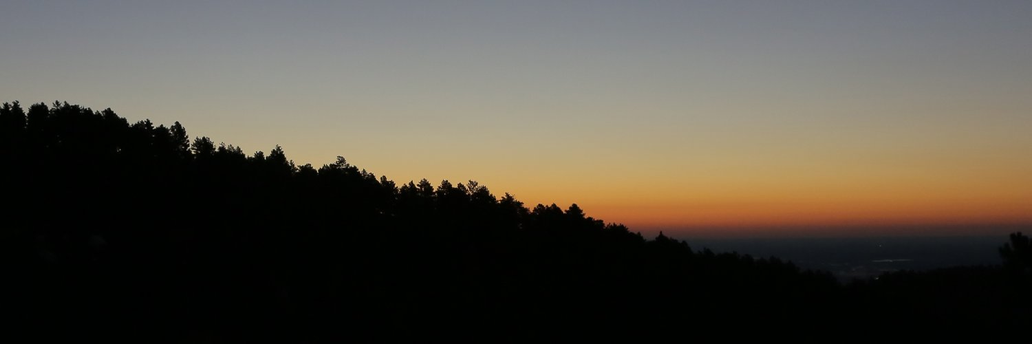 Mariette Papic banner