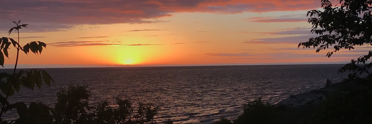 haileeames16's profile banner image