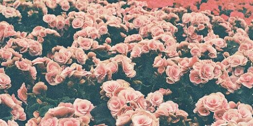 RobyLovesMusic's profile banner image