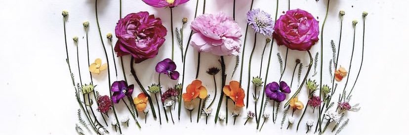 JamilaAkweleyOkertchiri banner