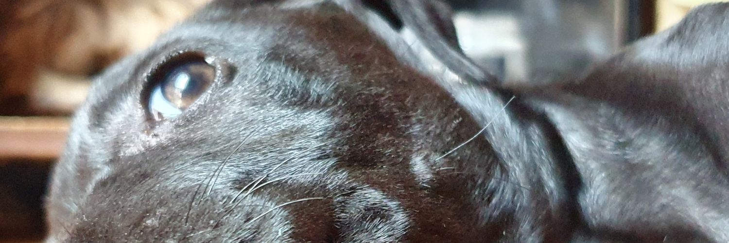 vgutierrez017's profile banner image