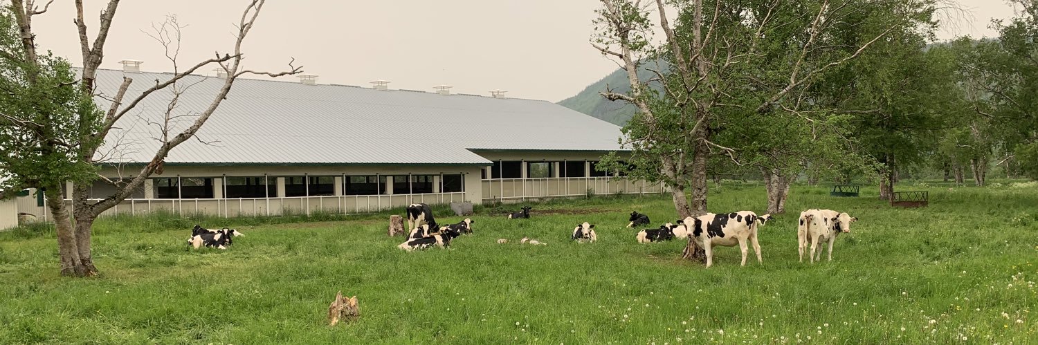 P Duivenvoorden banner