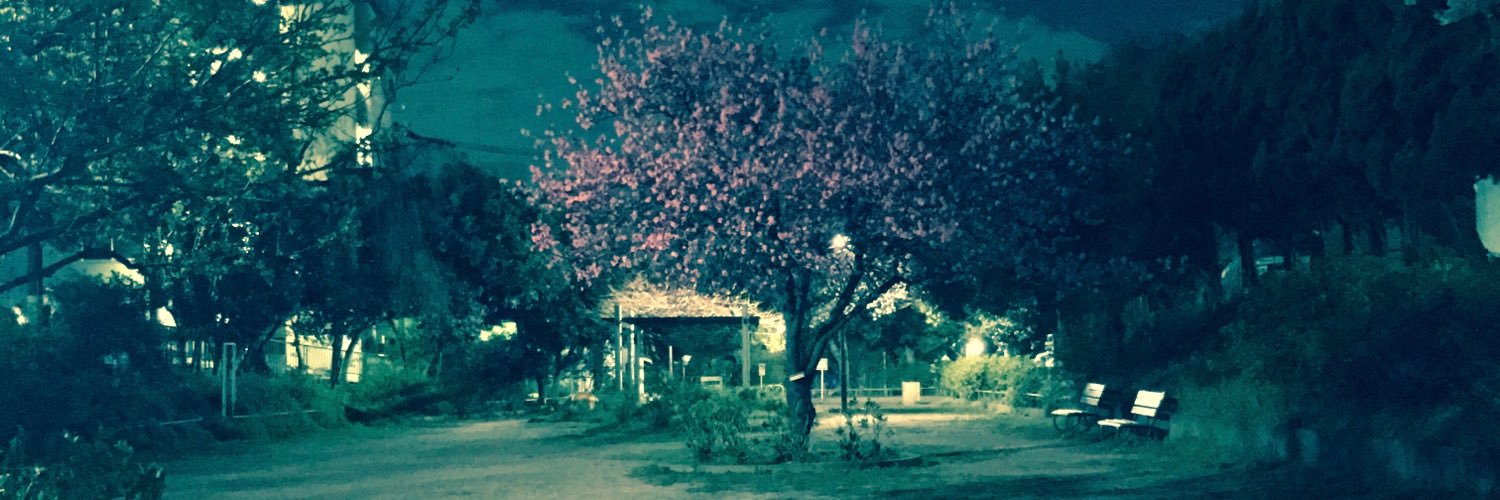 pe_pk84n's profile banner image