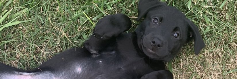 logston15's profile banner image