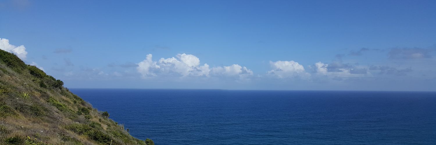ADRIANAIRELA's profile banner image