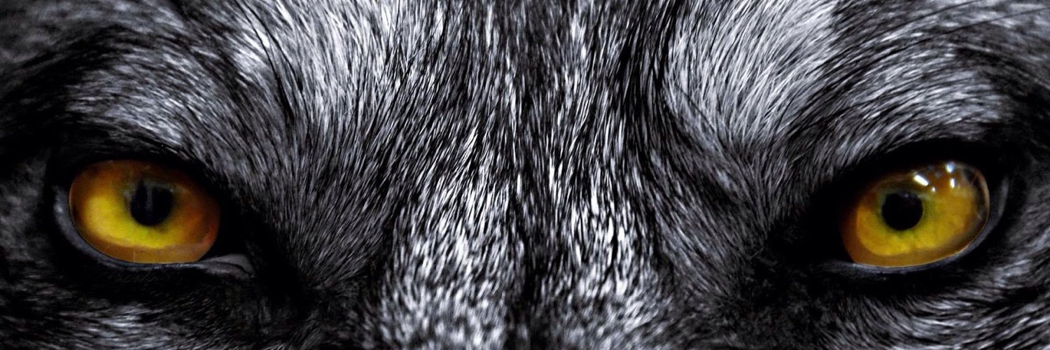 Hunter_Pelkey's profile banner image