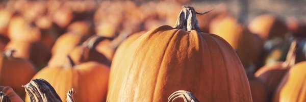 BCFairs Profile Banner