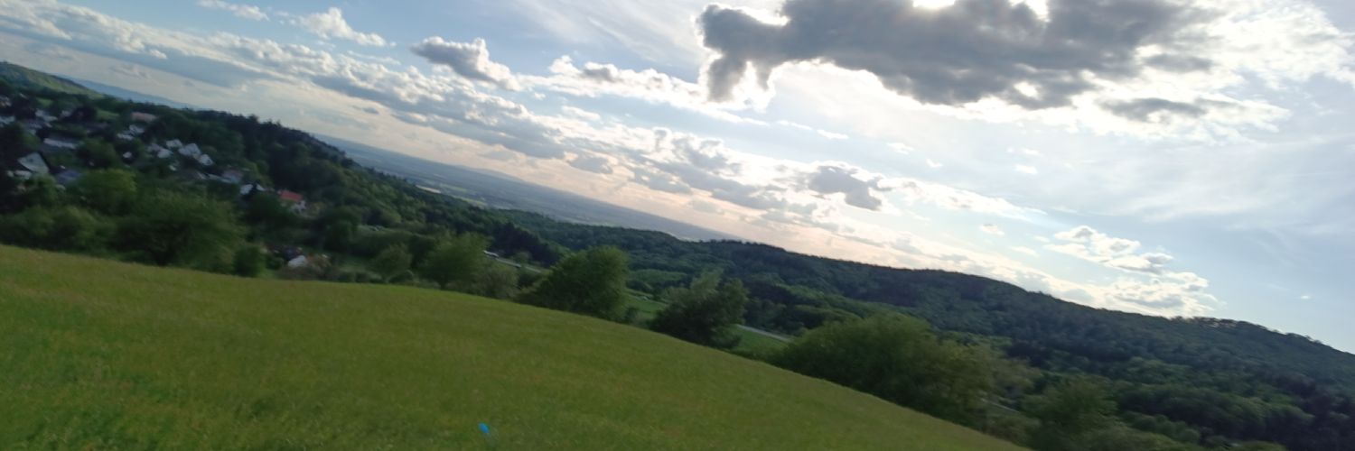 mdperuta's profile banner image