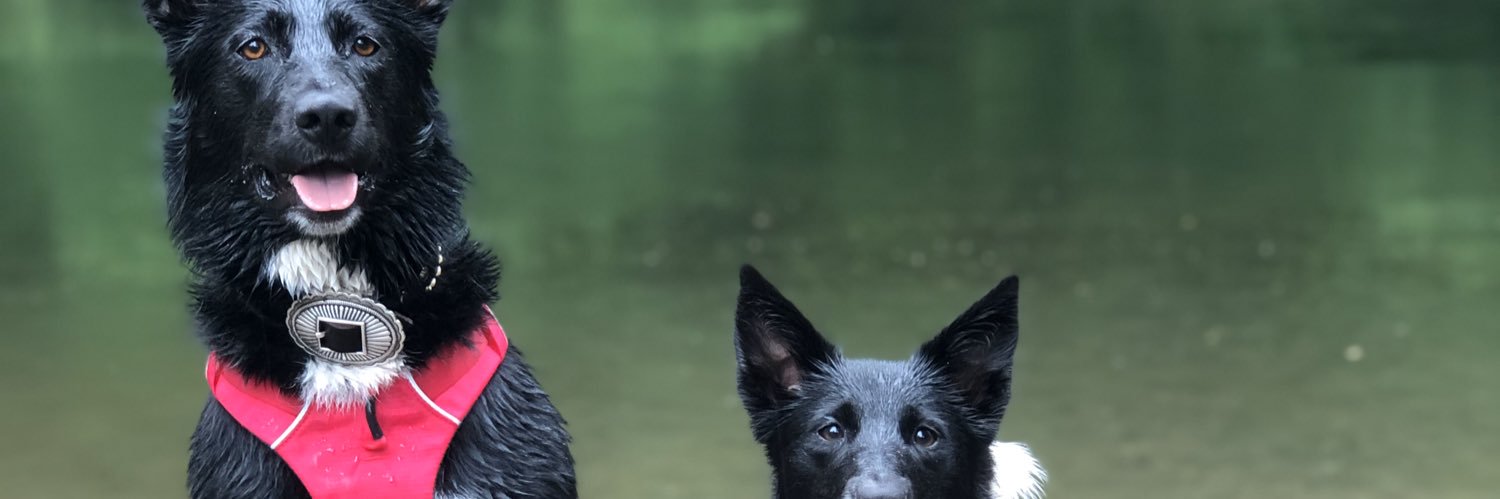 katelyn_lu's profile banner image