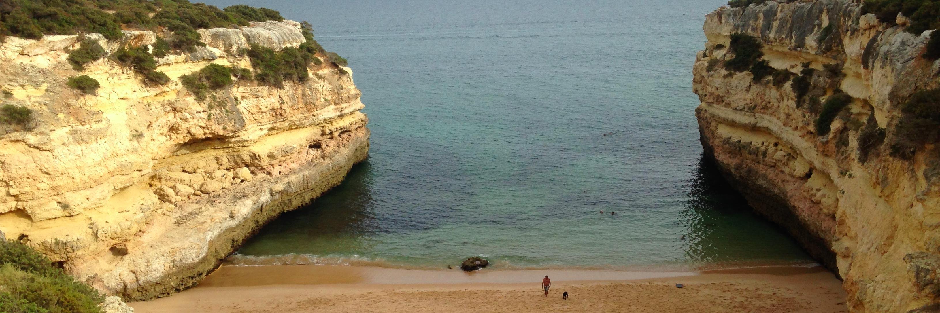 R. Daniel Kelemen banner