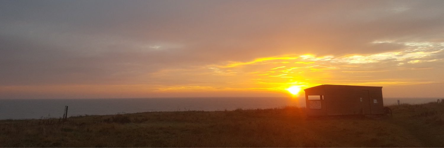 Mark Linnington banner