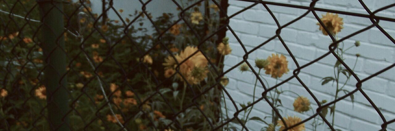brookemacmaster's profile banner image