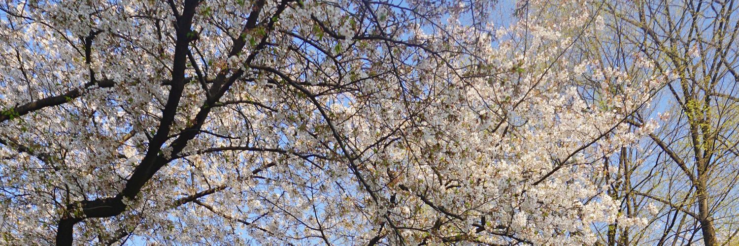 福🍀 banner