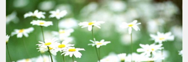 sepulvedaee Profile Banner