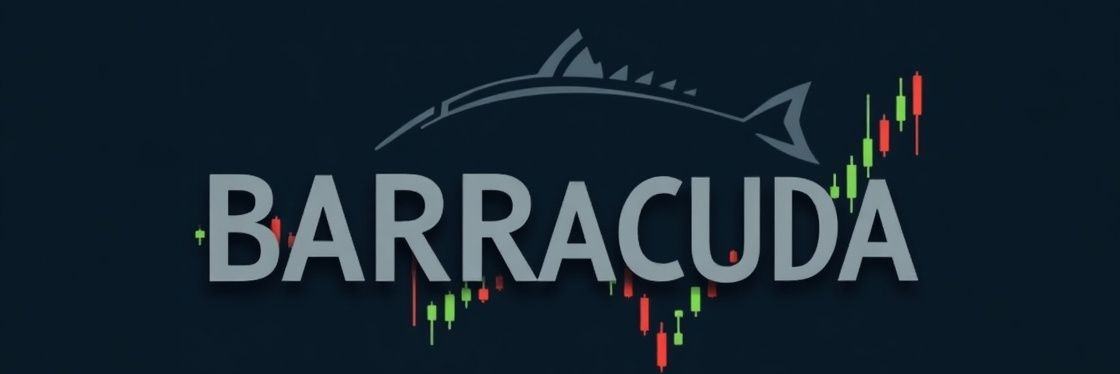 barracuda_ir's profile banner image