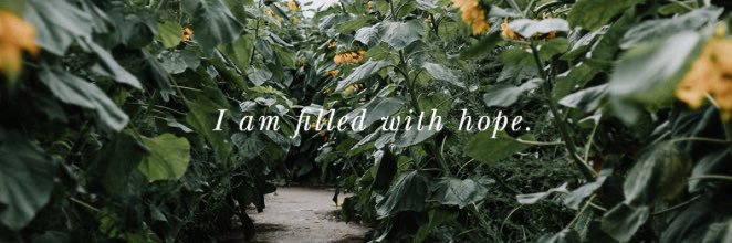 jenna_polefko's profile banner image