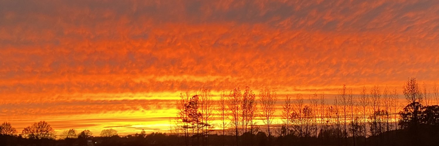 AmyStiles24's profile banner image