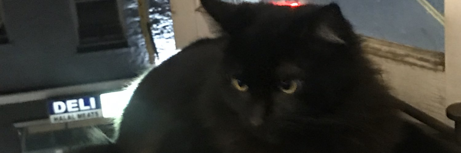 kevinmaswalker's profile banner image