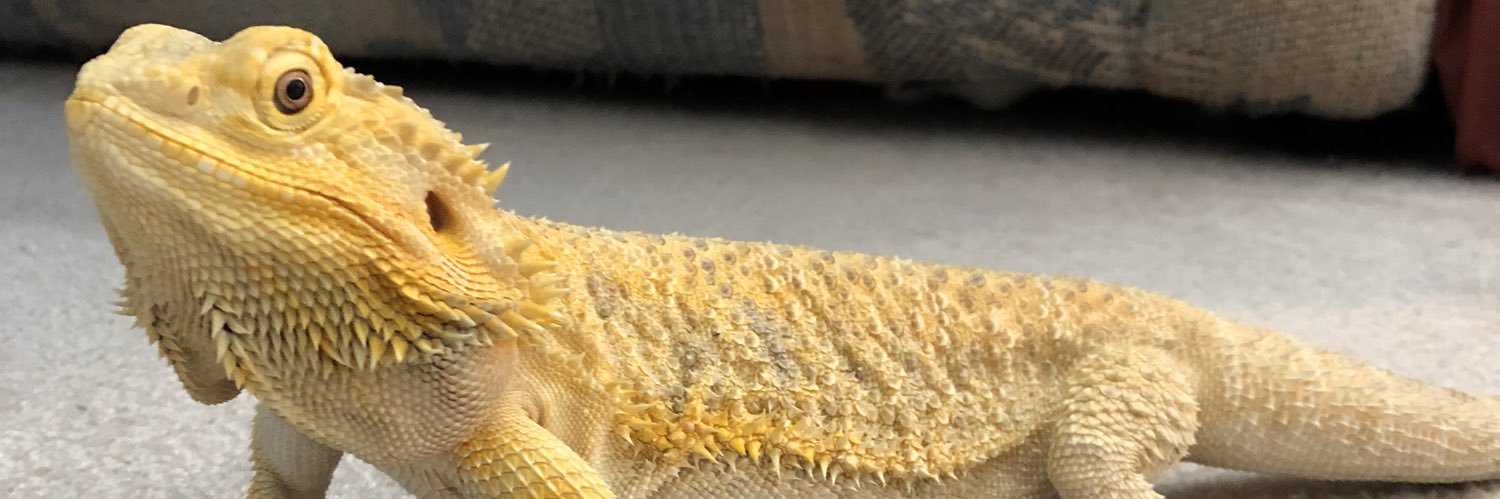 emellarks's profile banner image
