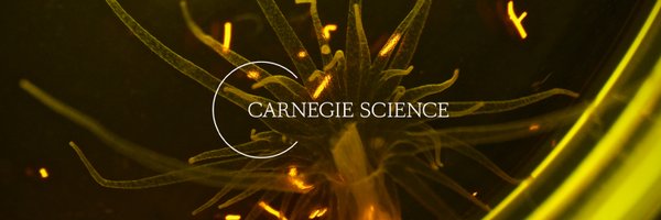 CarnegieDevBio Profile Banner