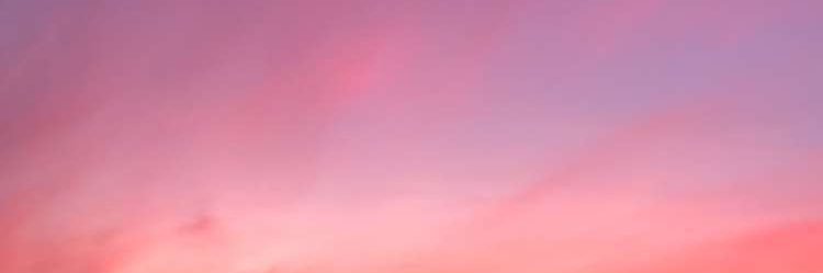 zoeeebrooke's profile banner image