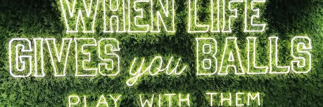 YorkTheShiller™🗽 banner