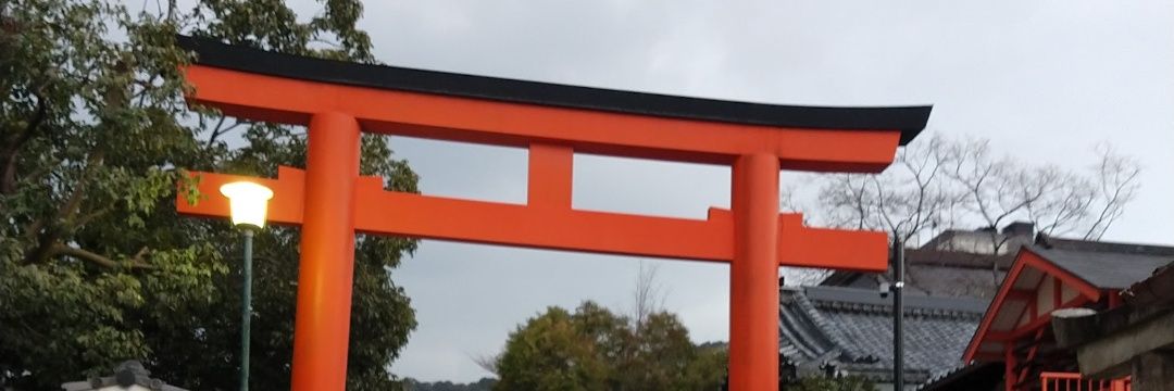 María Belén Bonello banner