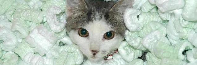 telekinetic child with a juice box 🇵🇸 banner