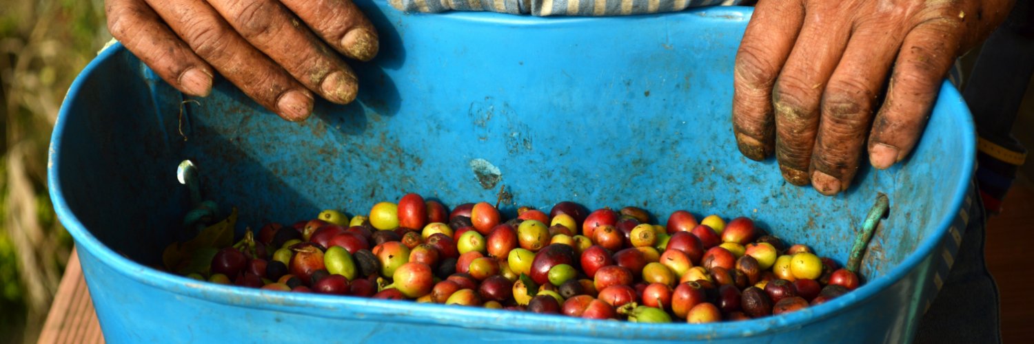 SAFE Platform banner