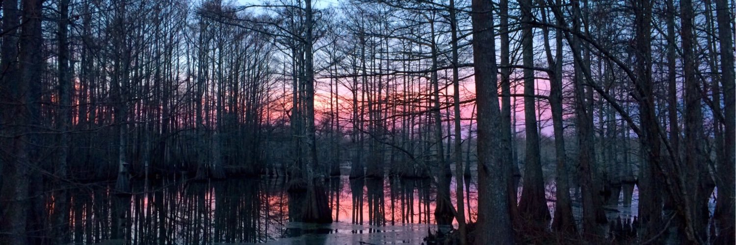 Danny Griffith banner