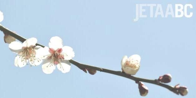 jetaabc's profile banner image