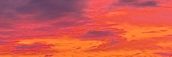 FinUgrianHunger Profile Banner