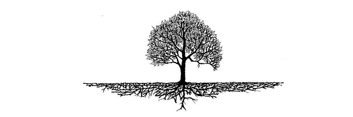 CumboFamilyTree's profile banner image