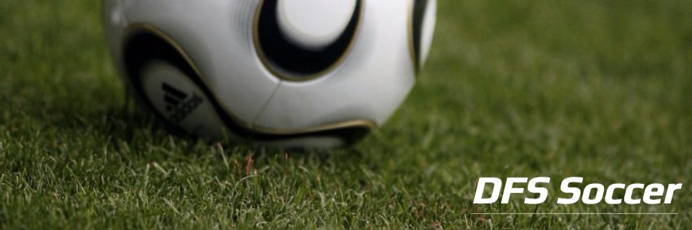 DFS Soccer banner