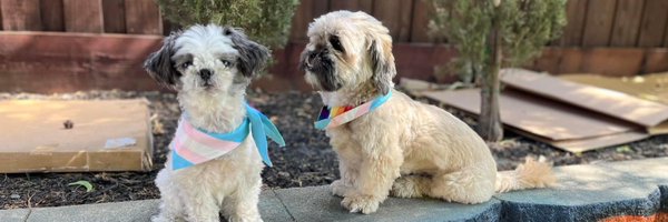 omiwhynot Profile Banner