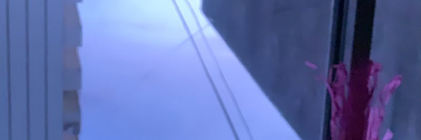 camiespp's profile banner image