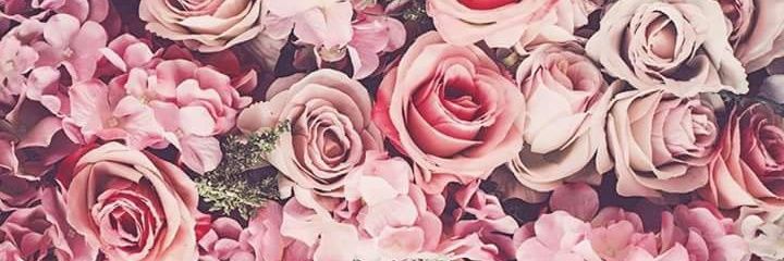 BarbieAbrnd's profile banner image