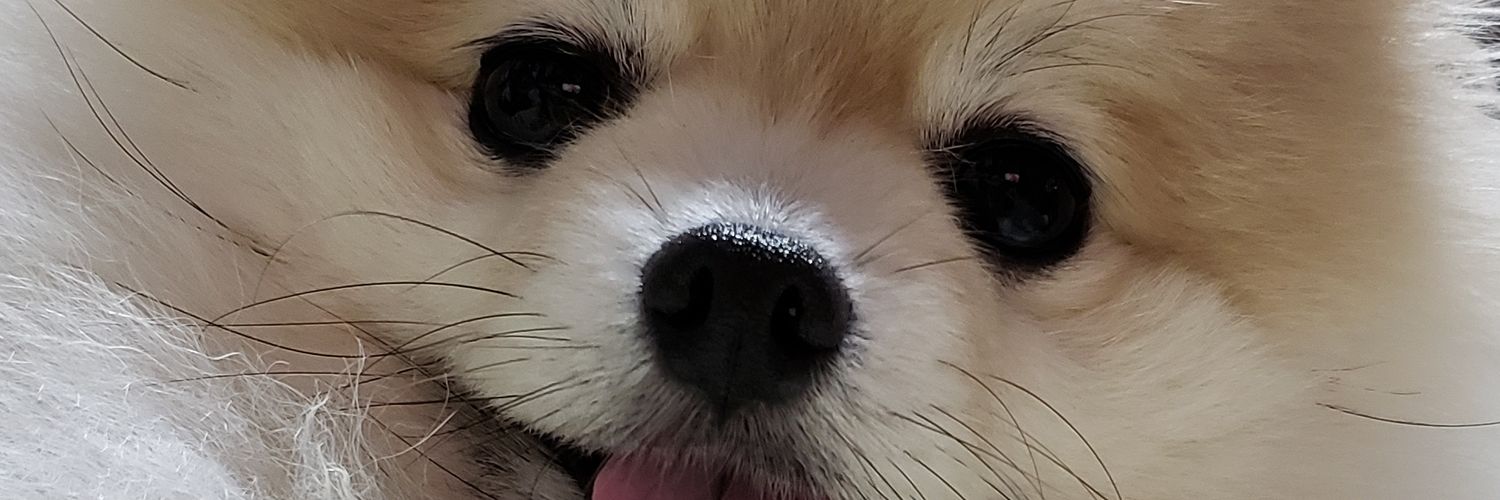ゆーちゃん banner